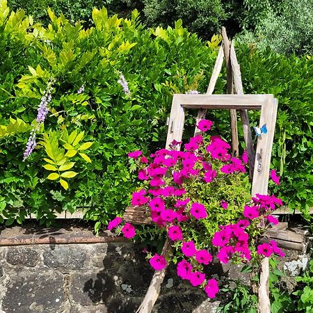 Apartament La Casa Nel Chianti Greve in Chianti Zewnętrze zdjęcie