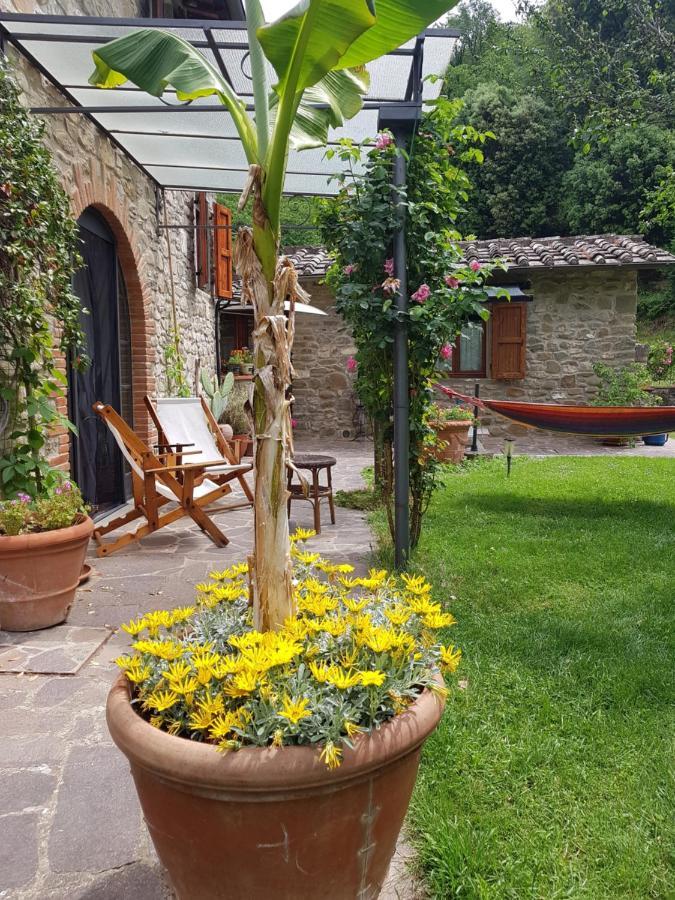 Apartament La Casa Nel Chianti Greve in Chianti Zewnętrze zdjęcie
