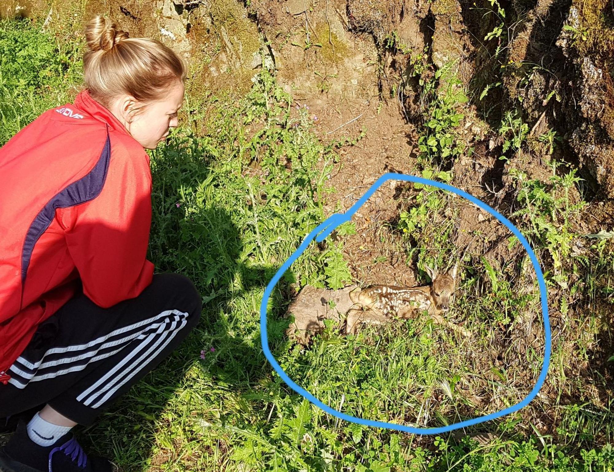 Apartament La Casa Nel Chianti Greve in Chianti Zewnętrze zdjęcie