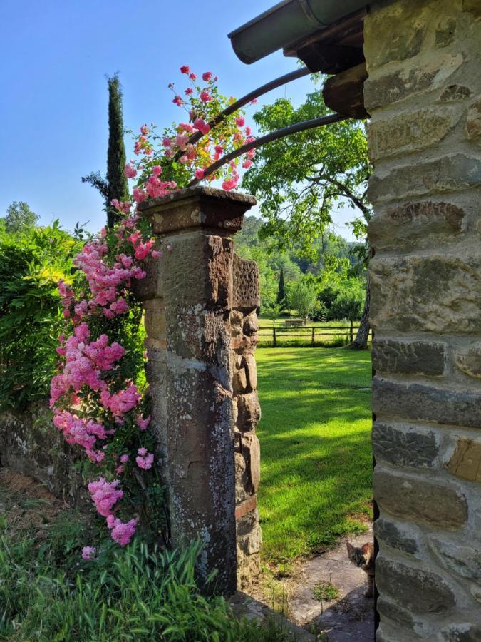 Apartament La Casa Nel Chianti Greve in Chianti Zewnętrze zdjęcie