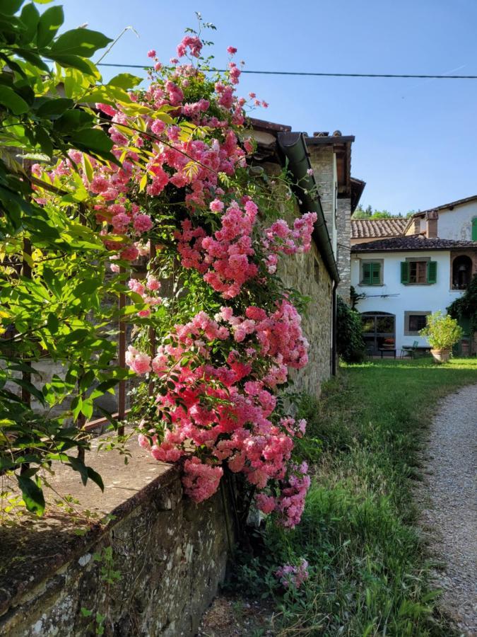 Apartament La Casa Nel Chianti Greve in Chianti Zewnętrze zdjęcie