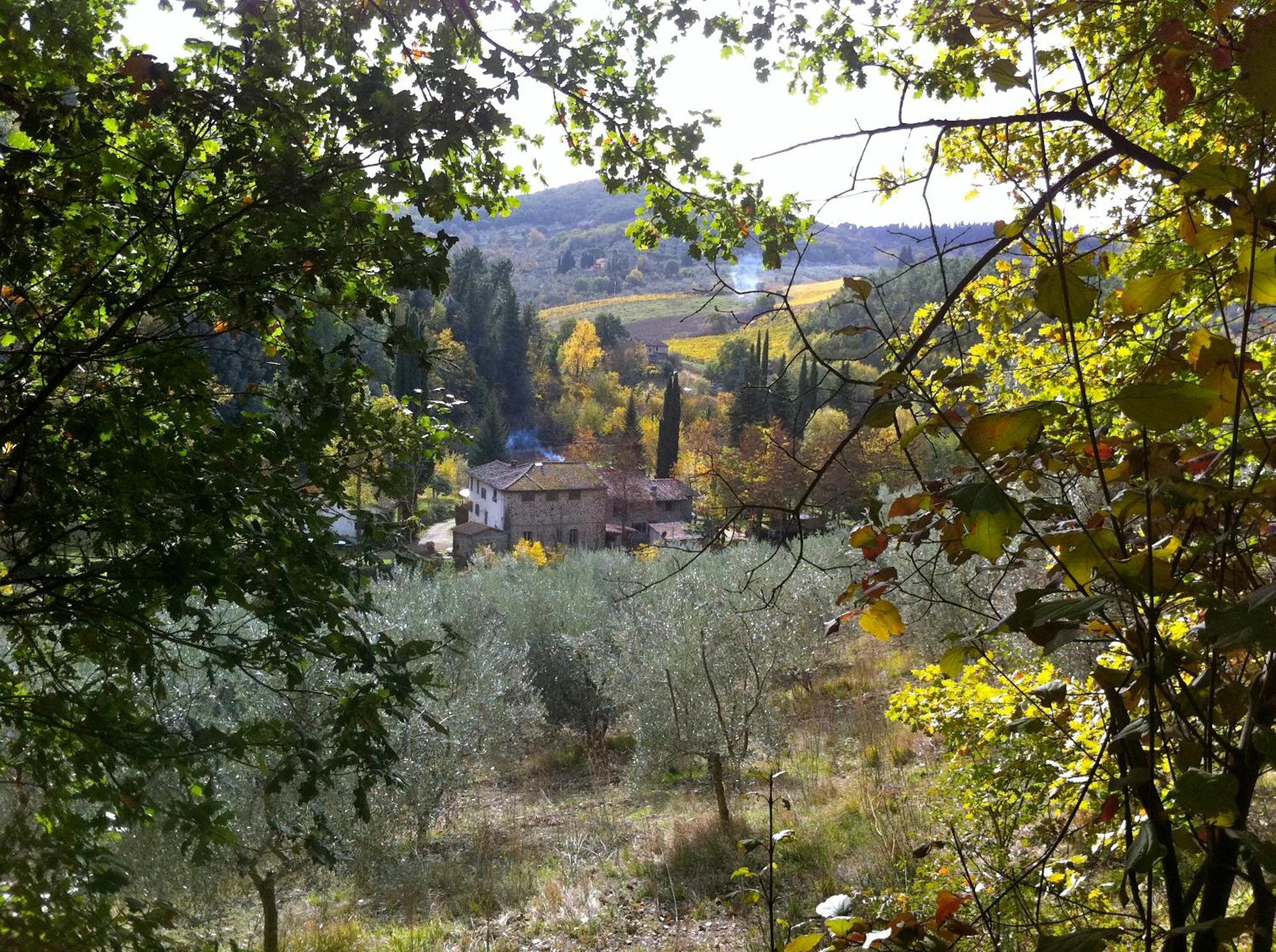 Apartament La Casa Nel Chianti Greve in Chianti Zewnętrze zdjęcie