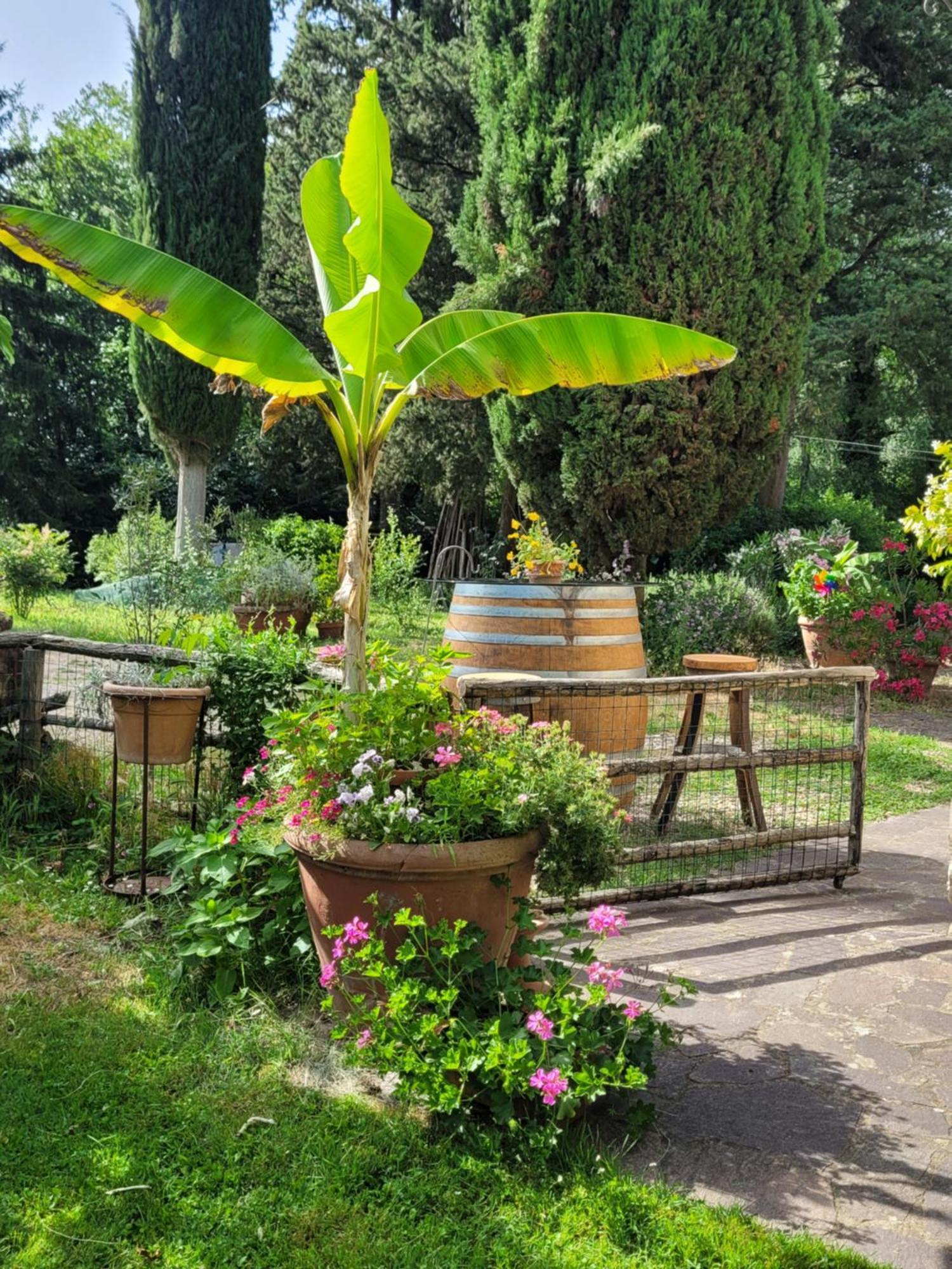 Apartament La Casa Nel Chianti Greve in Chianti Zewnętrze zdjęcie