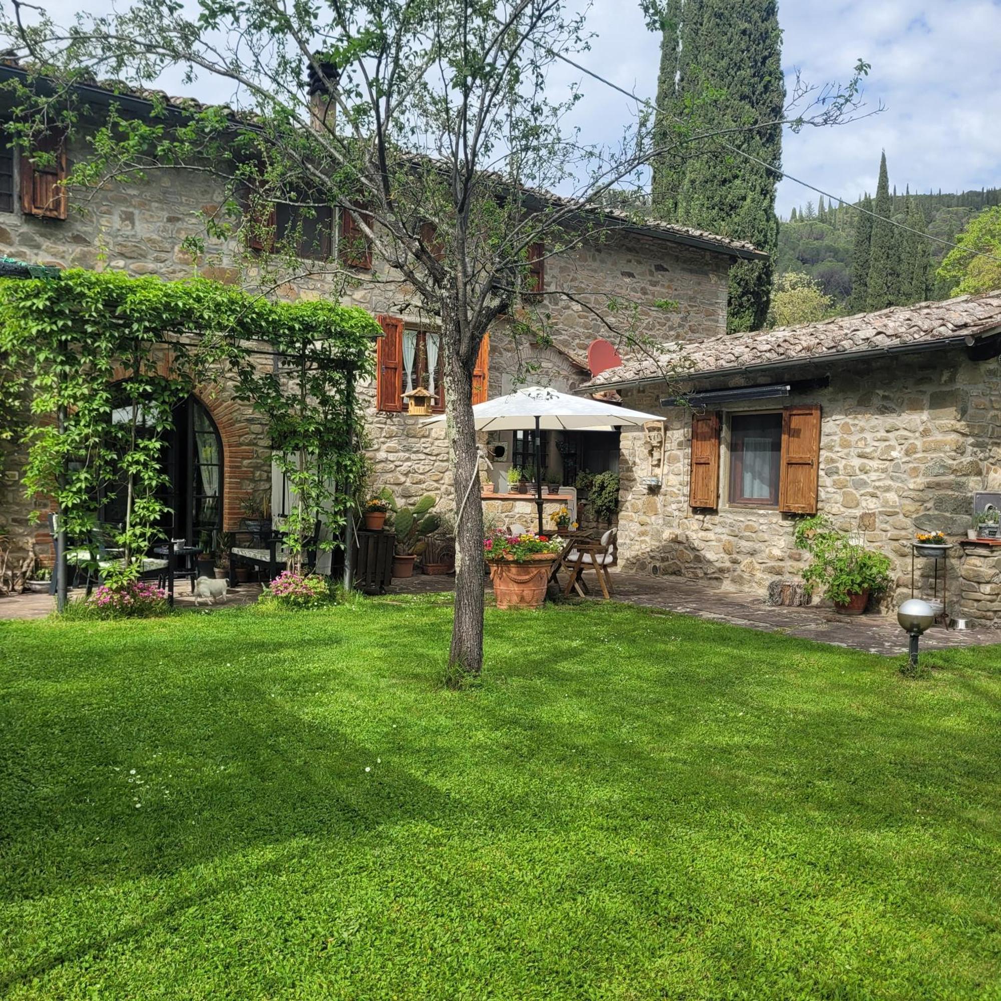 Apartament La Casa Nel Chianti Greve in Chianti Zewnętrze zdjęcie